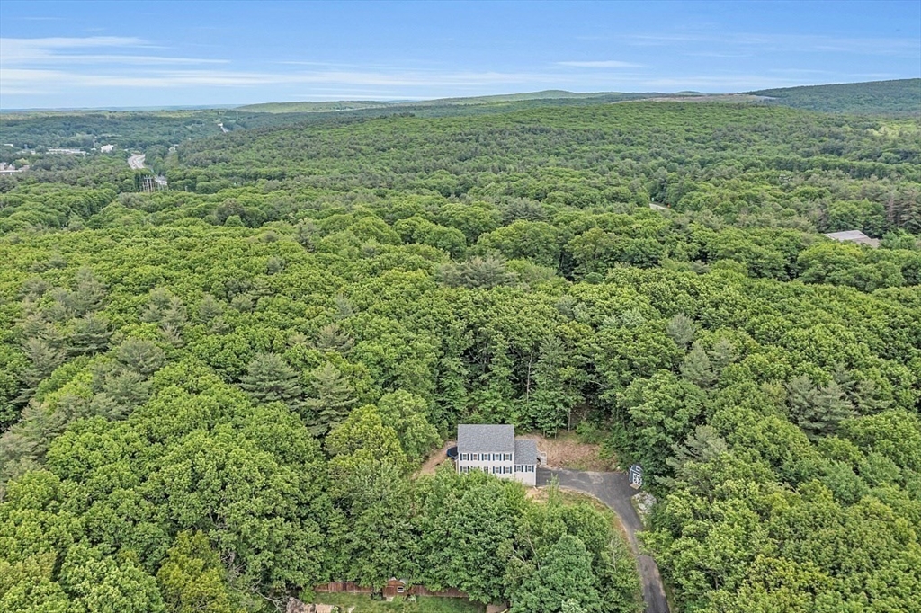 35 Willard Road Westminster, MA 01473 - Photo 35 of 36 a view of a green field with lots of bushes