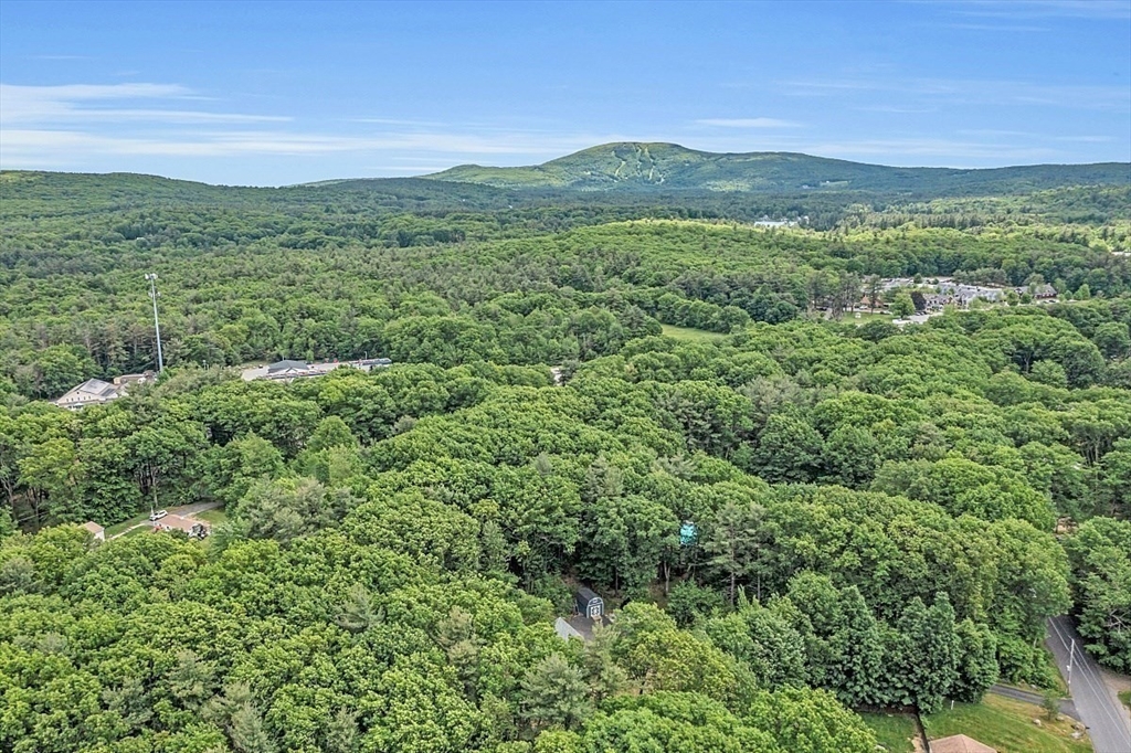 35 Willard Road Westminster, MA 01473 - Photo 36 of 36 a view of a lush green forest with lush green forest