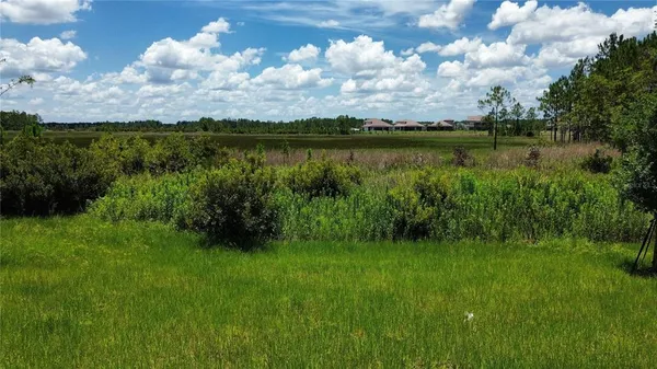 $5,800 | 35436 Big Hawk Drive, Zephyrhills, FL 33541