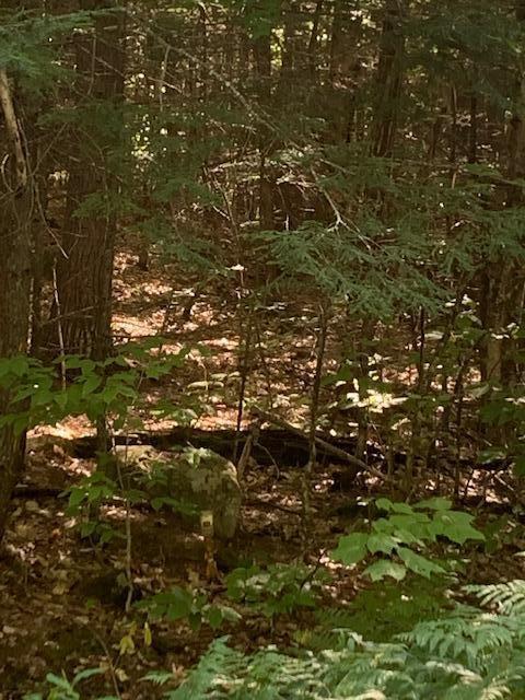 R06 Burnell Road Naples, ME 04055 - Photo 2 of 6 Burnell1