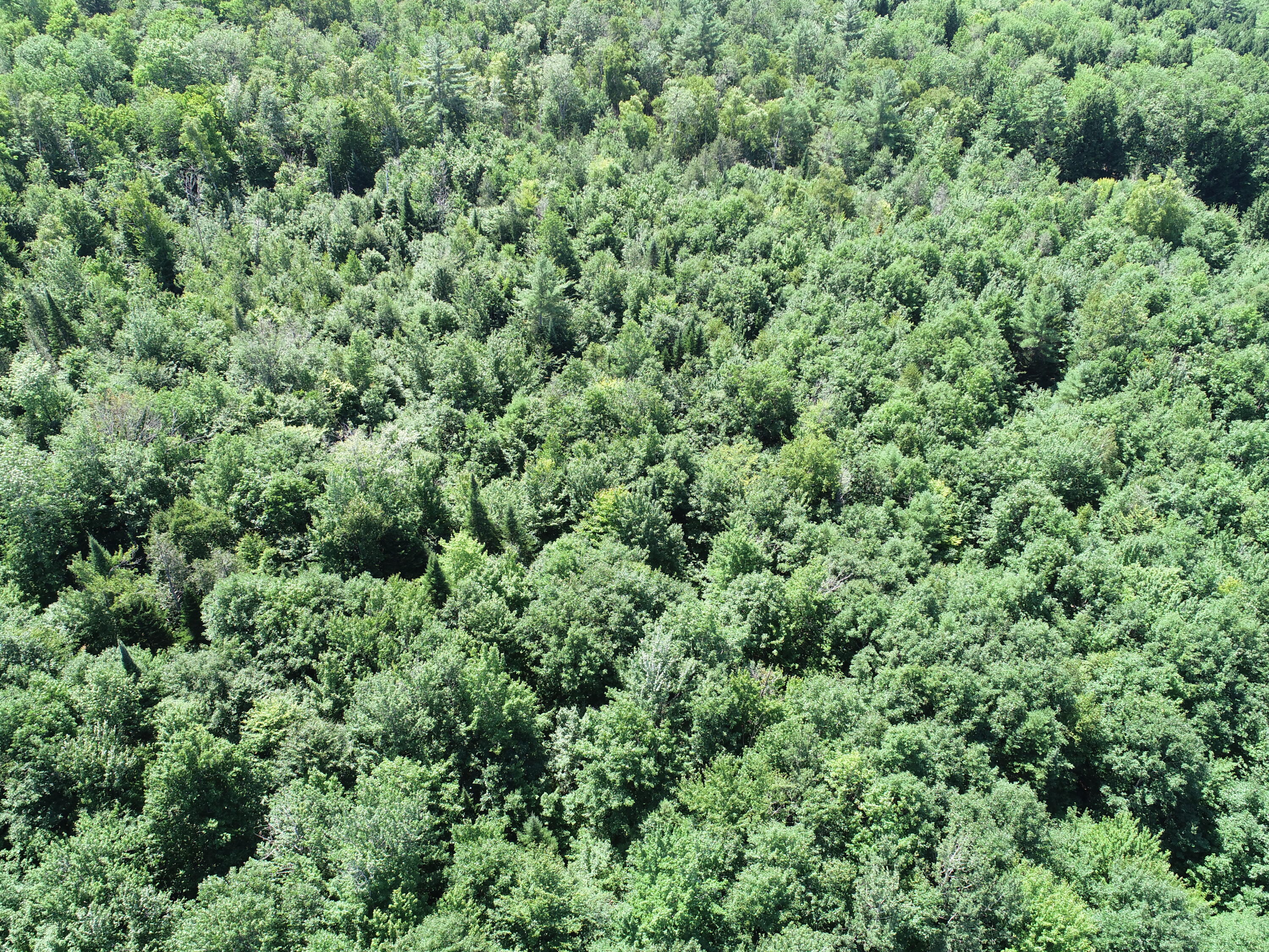 M9-l2 River Road Madison, ME 04950 - Photo 22 of 24 DJI_0020