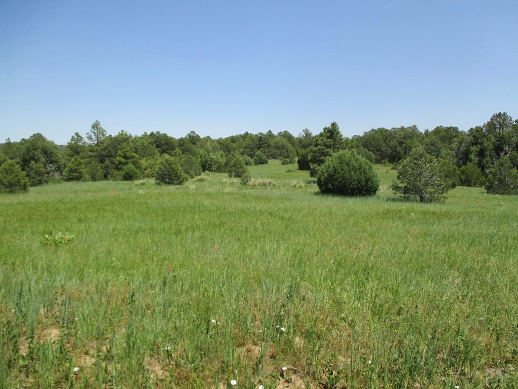 0 Co Road Trinidad, CO 81082 - Photo 33 of 64 Gallery Image 33