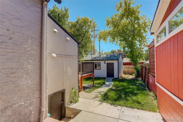 a view of backyard with potted plants and a large tree