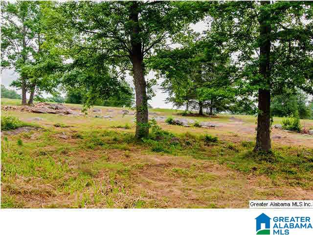 2303 Chestnut Road Birmingham, AL 35216 - Photo 4 of 30