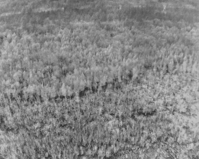 St-john 's Road Passadumkeag, ME 04475 - Photo 17 of 18 DJI_20260108124751_0006_T