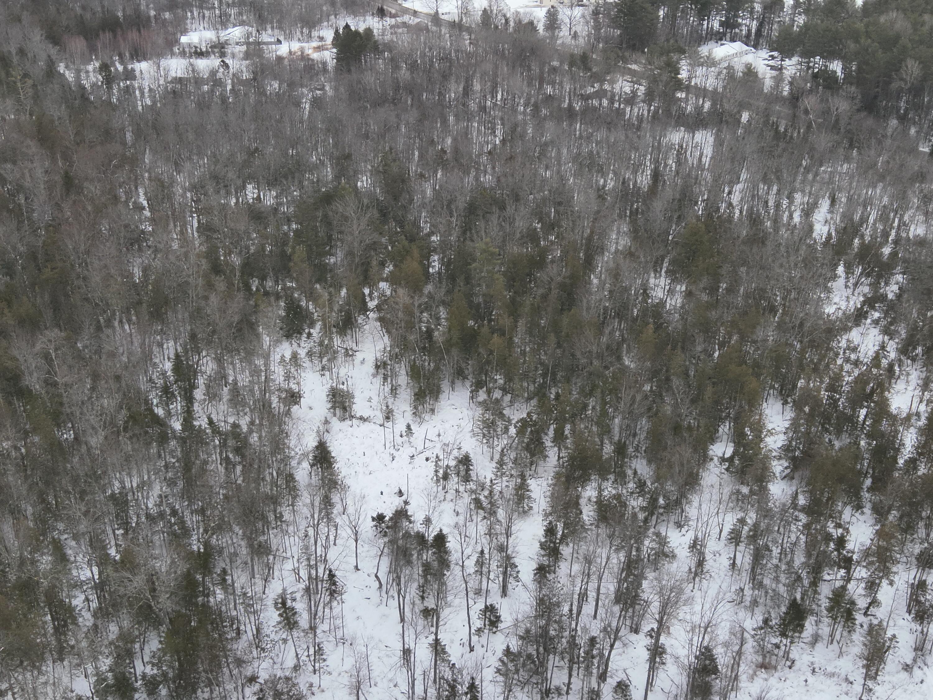 St-john 's Road Passadumkeag, ME 04475 - Photo 7 of 18 DJI_20260108143354_0007_V