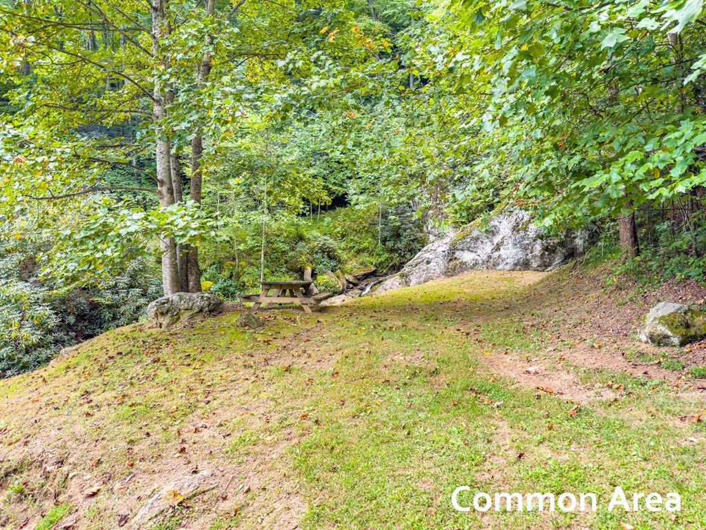 Cc Spring Pond Trail, Unit CC Fancy Gap, VA 24328 - Photo 41 of 46 Gallery Image 41