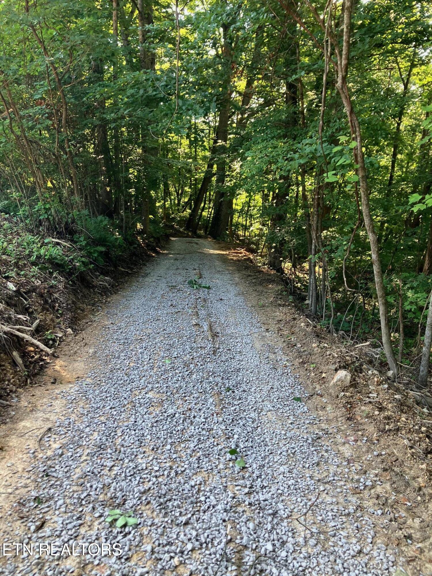 2 Graves Hollow Road Maynardville, TN 37807 - Photo 12 of 13 IMG_6169