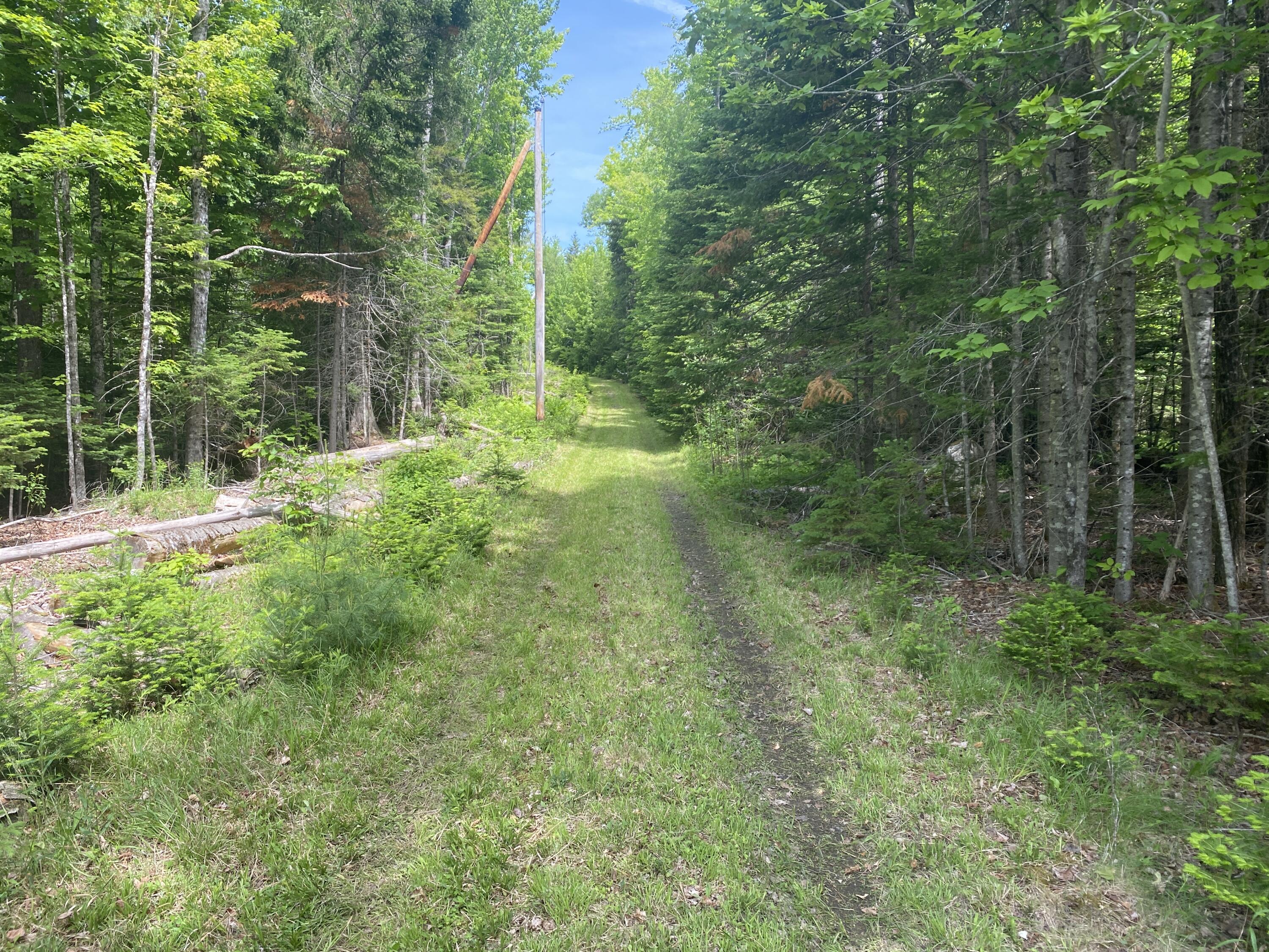 783 Half Township Road Lincoln, ME 04457 - Photo 7 of 24 IMG_7