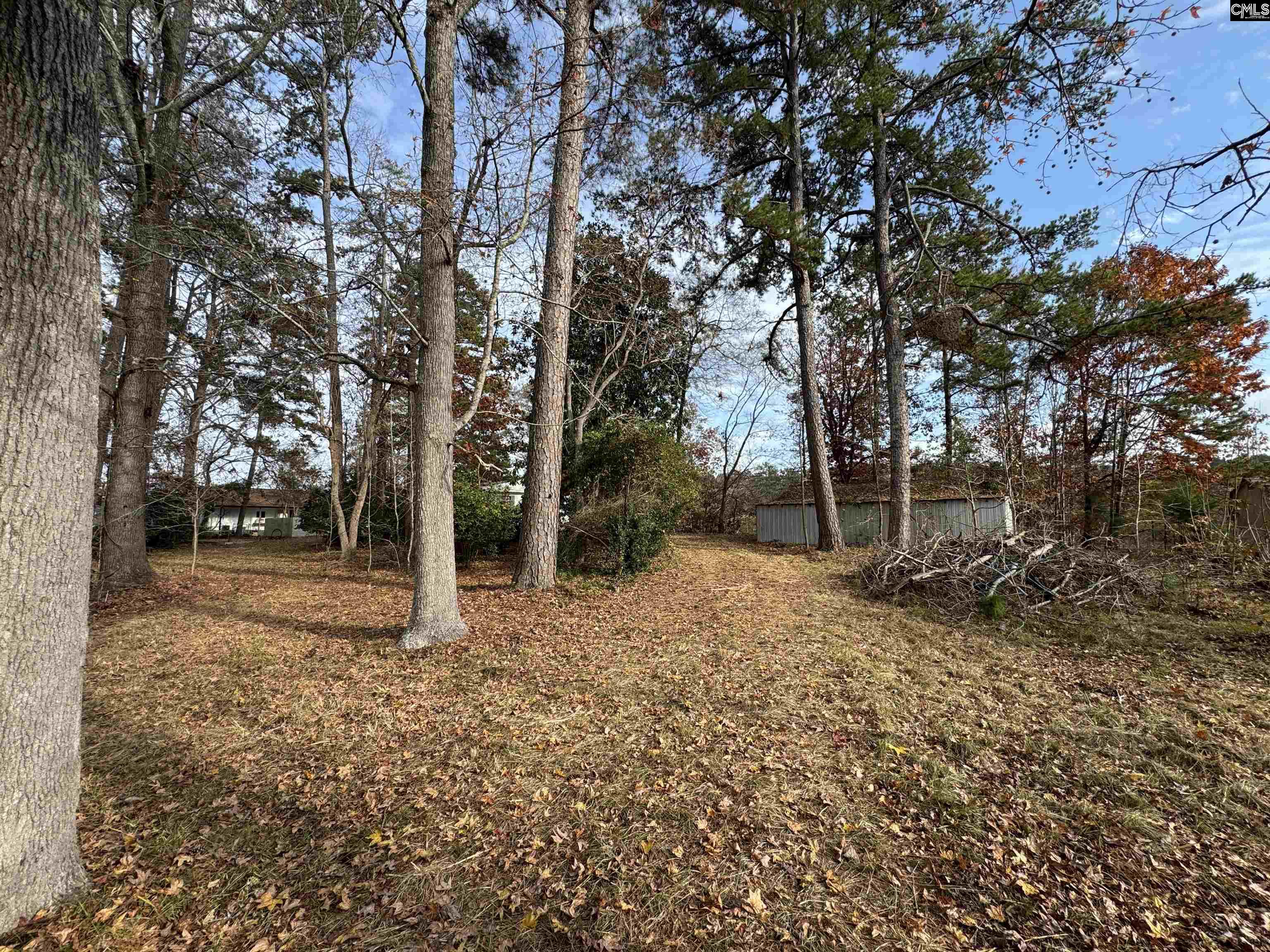 1403 Westshore Drive Ridgeway, SC 29130 - Photo 20 of 21