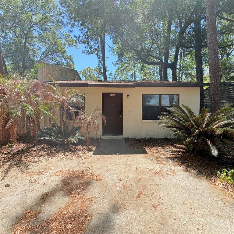 a view of backyard with plants and trees