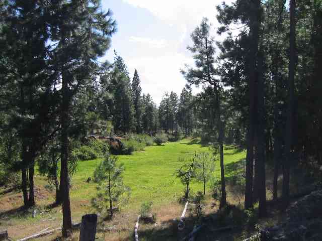0 West Drumheller Road Cheney, WA 99004 - Photo 1 of 5