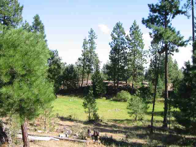 0 West Drumheller Road Cheney, WA 99004 - Photo 2 of 5