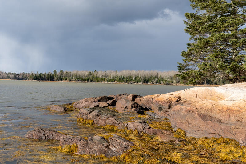 50 Sunset Point Road Harrington, ME 04643 - Photo 10 of 31 SSP15