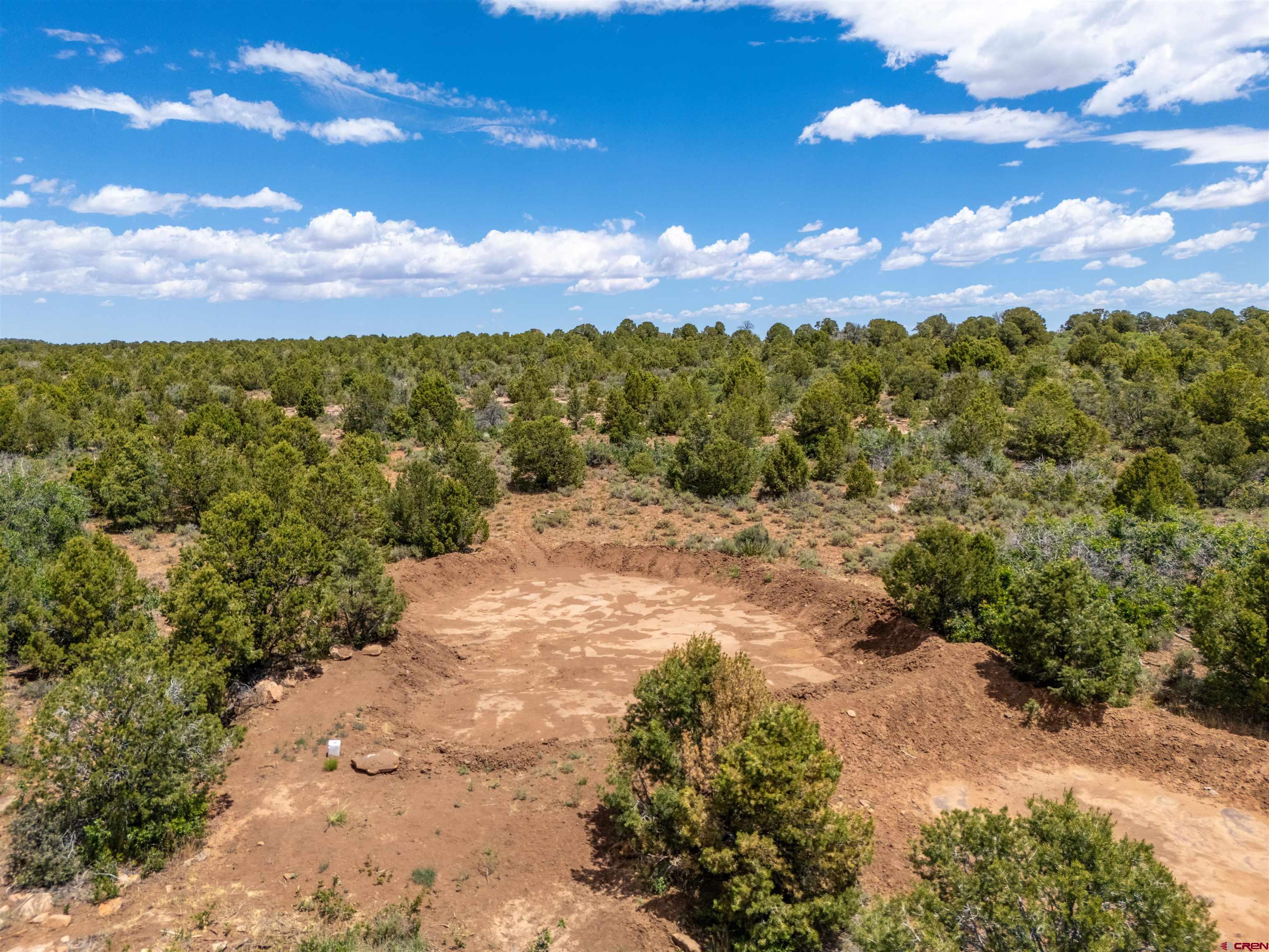 724 Blue Canyon Ranch Road Egnar, CO 81325 - Photo 33 of 45