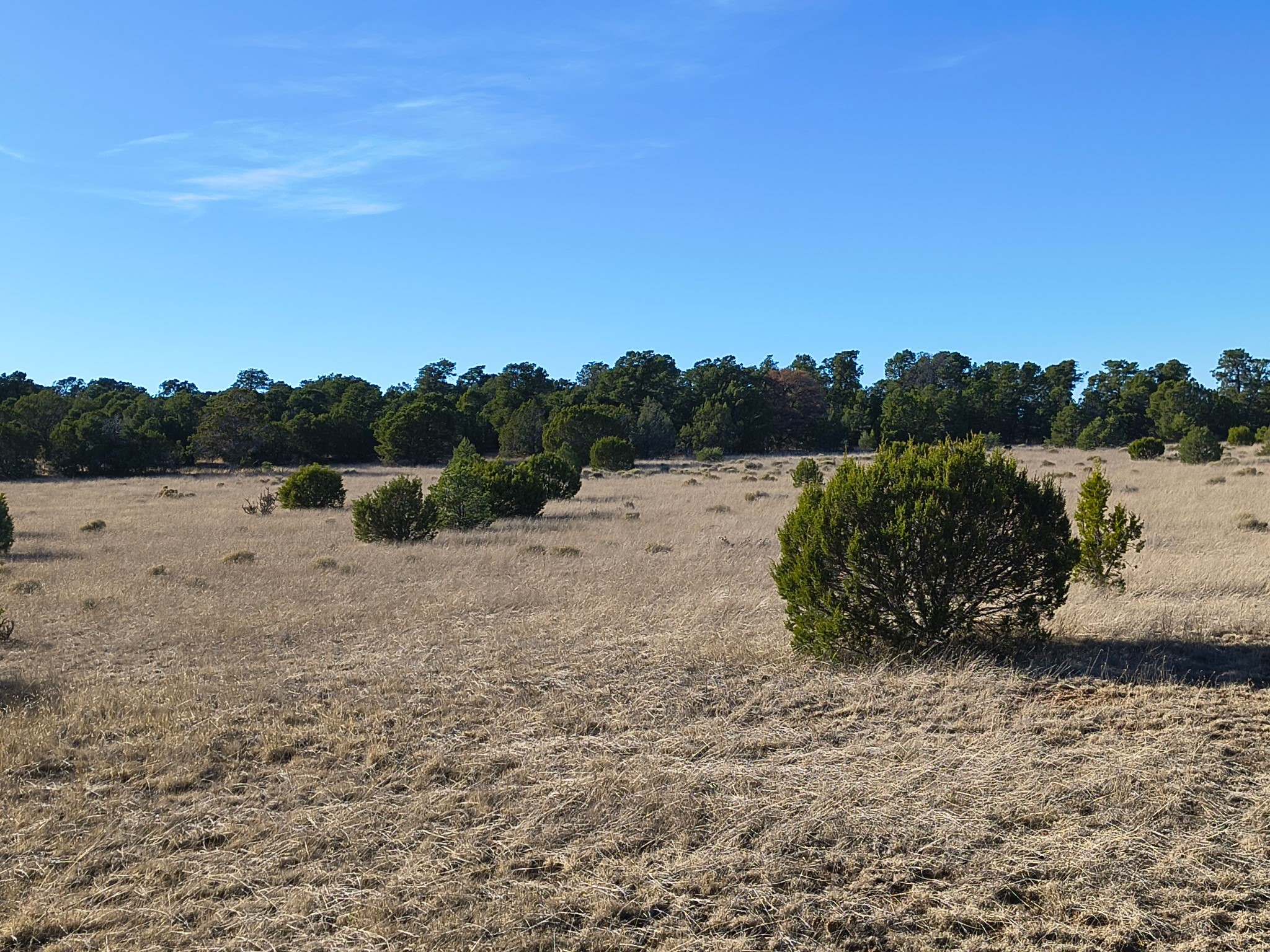 174 Tierra Del Dios Road Ribera, NM 87560 - Photo 4 of 4