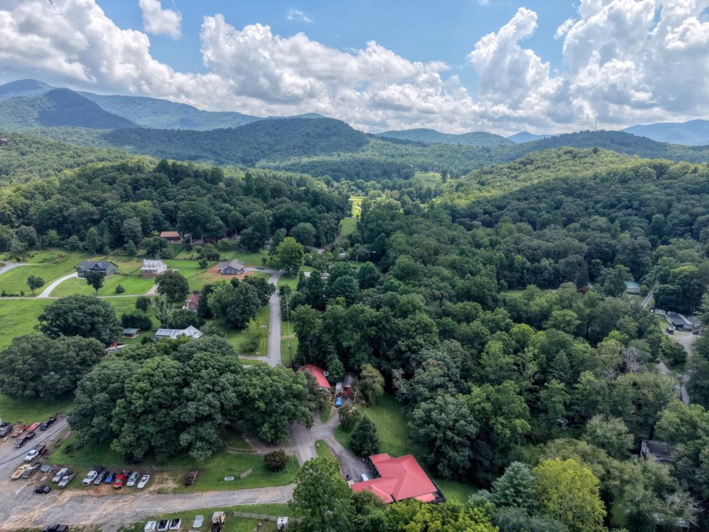 723 Bugscuffle Road Hiawassee, GA 30546 - Photo 32 of 35 Arial