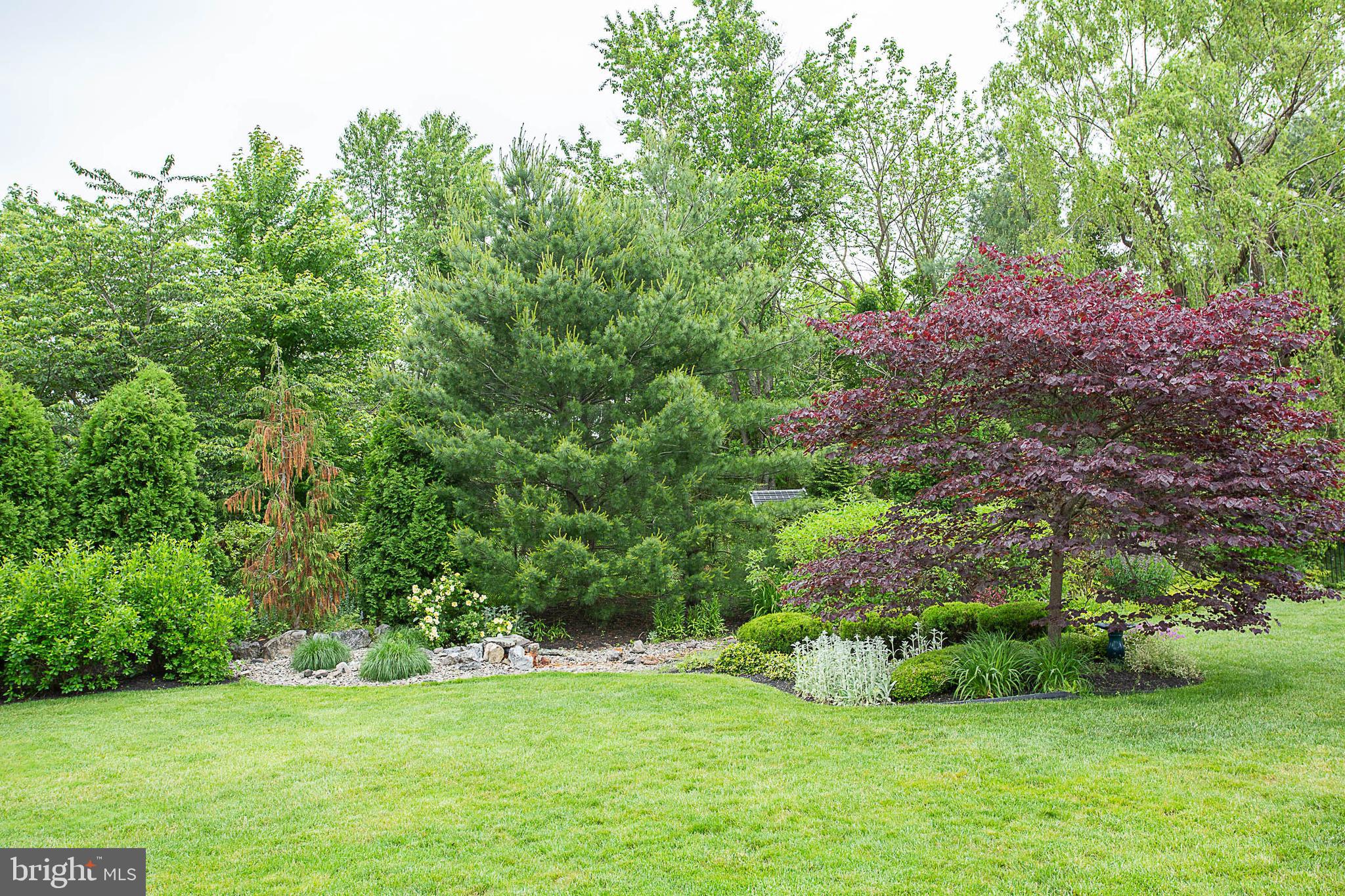 20 Byron Drive Mount Laurel, NJ 08054 - Photo 45 of 50