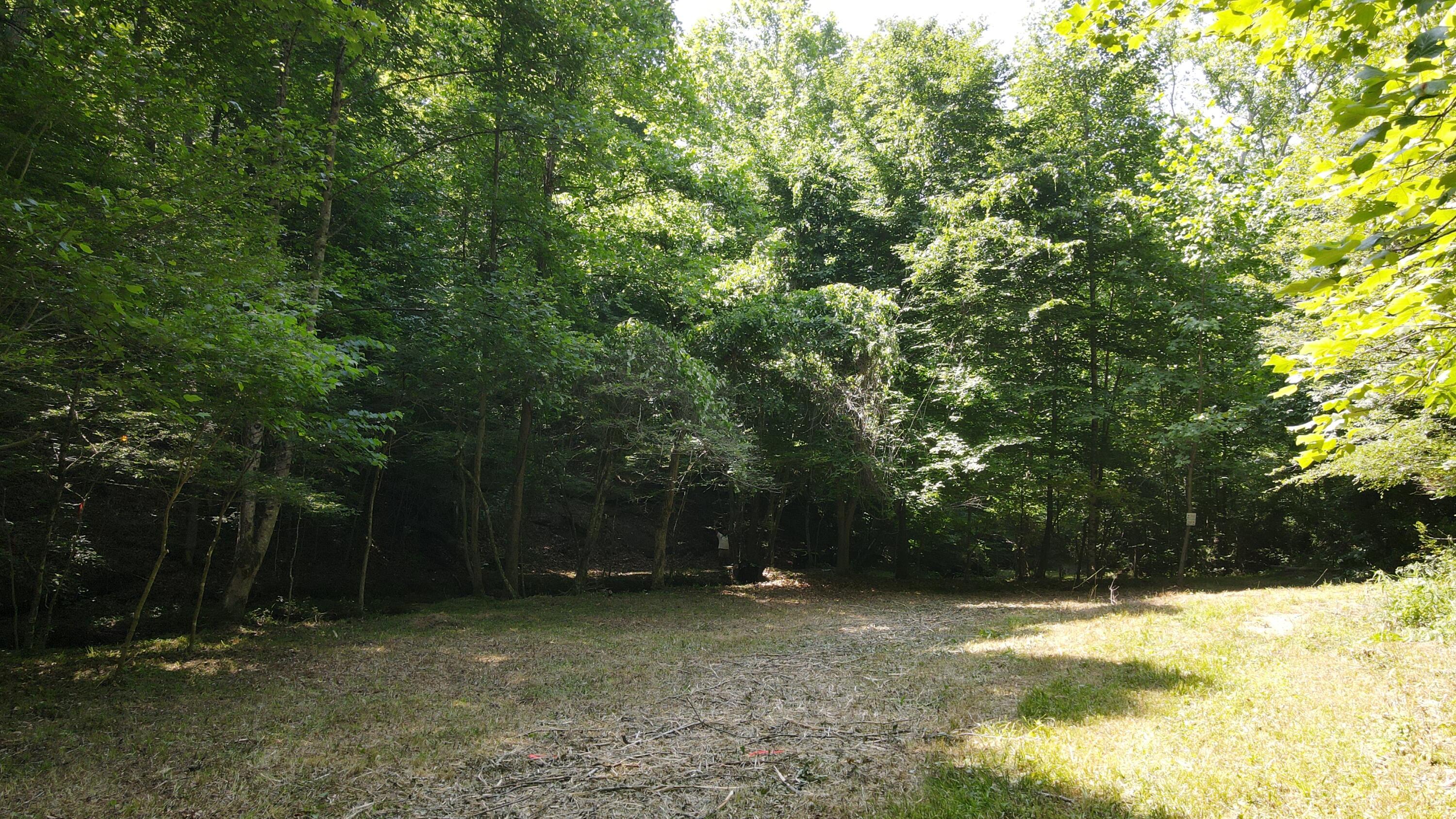 1101 Hull Road, Unit TRACT 9 WOODS WAYNE FOREST) Patriot, OH 45658 - Photo 56 of 61 20240621_152030000_iOS