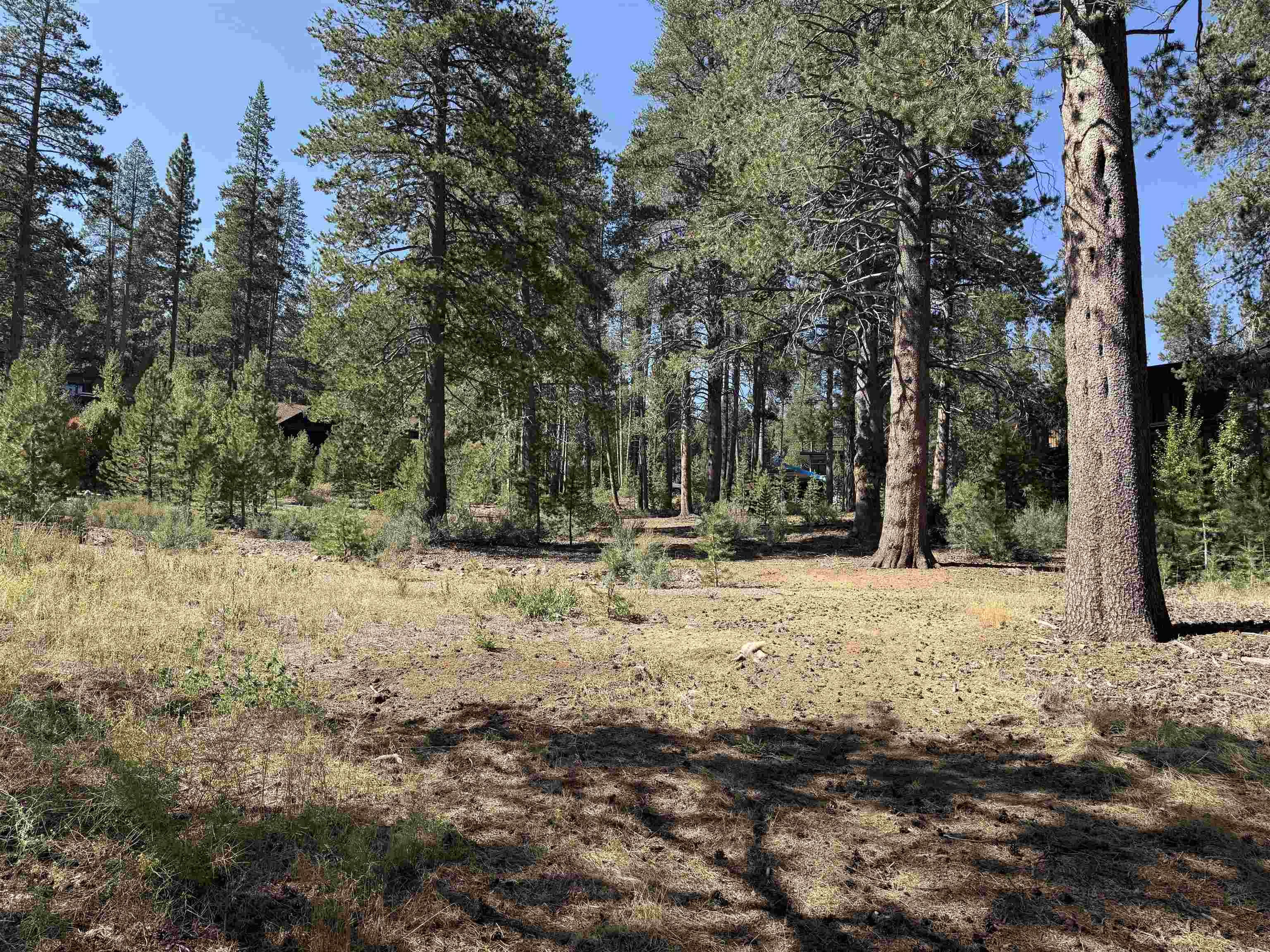 11731 Ghirard Road Truckee, CA 96161 - Photo 13 of 23 a fire hydrant in the middle of a field