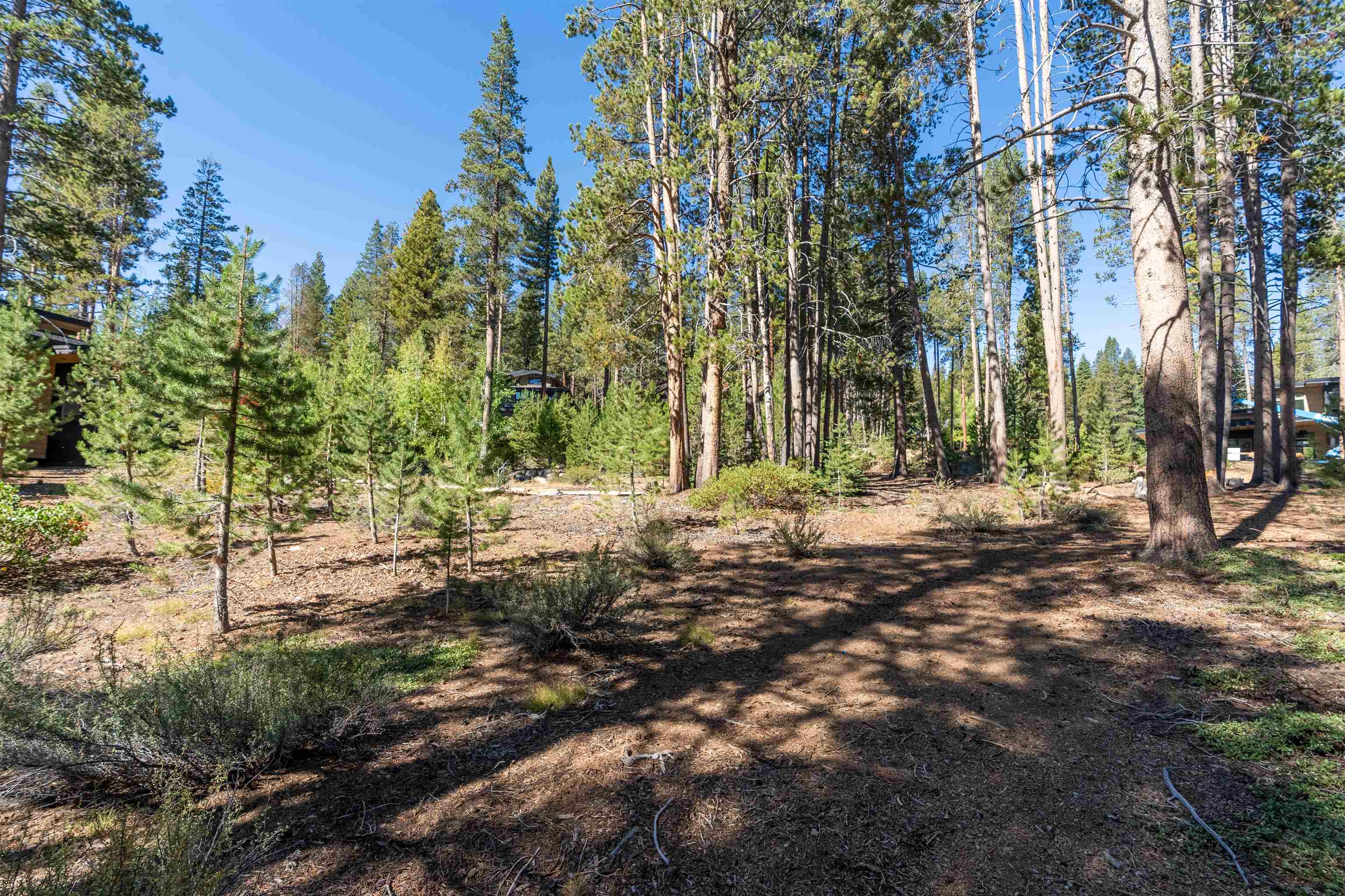 11731 Ghirard Road Truckee, CA 96161 - Photo 22 of 23 a view of road and trees