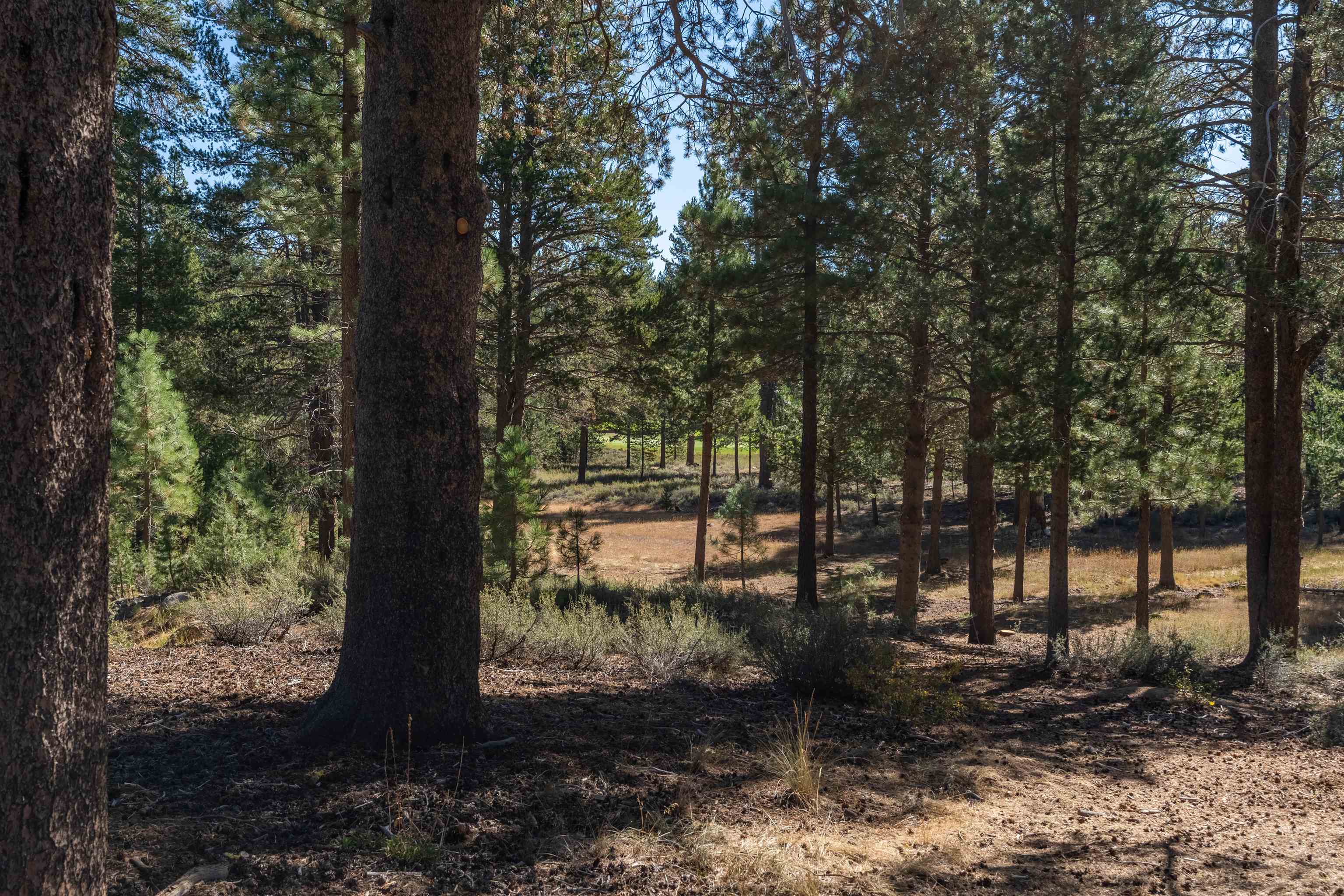 11731 Ghirard Road Truckee, CA 96161 - Photo 23 of 23 a view of a lake view