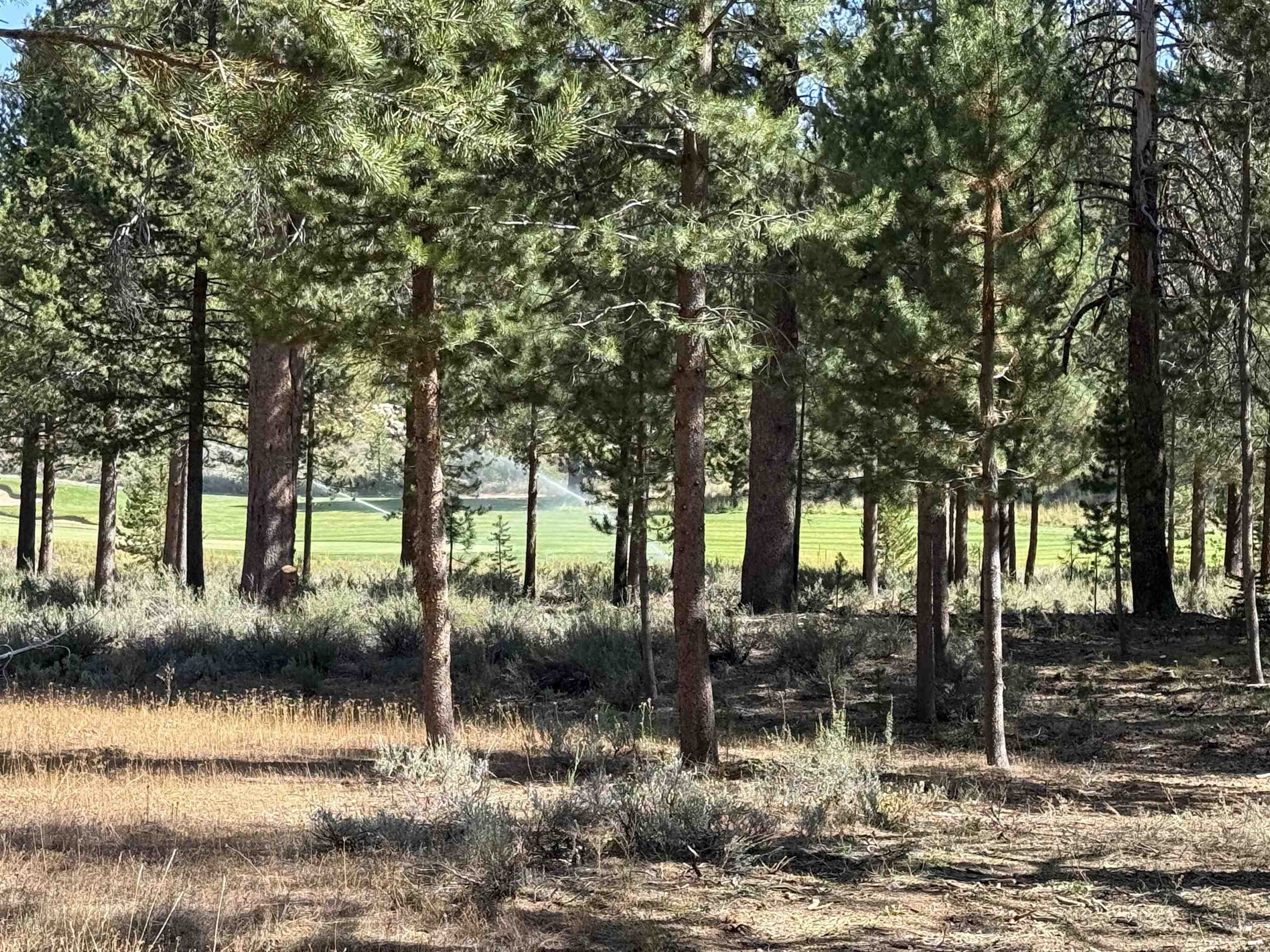 11731 Ghirard Road Truckee, CA 96161 - Photo 4 of 23 a view of back yard