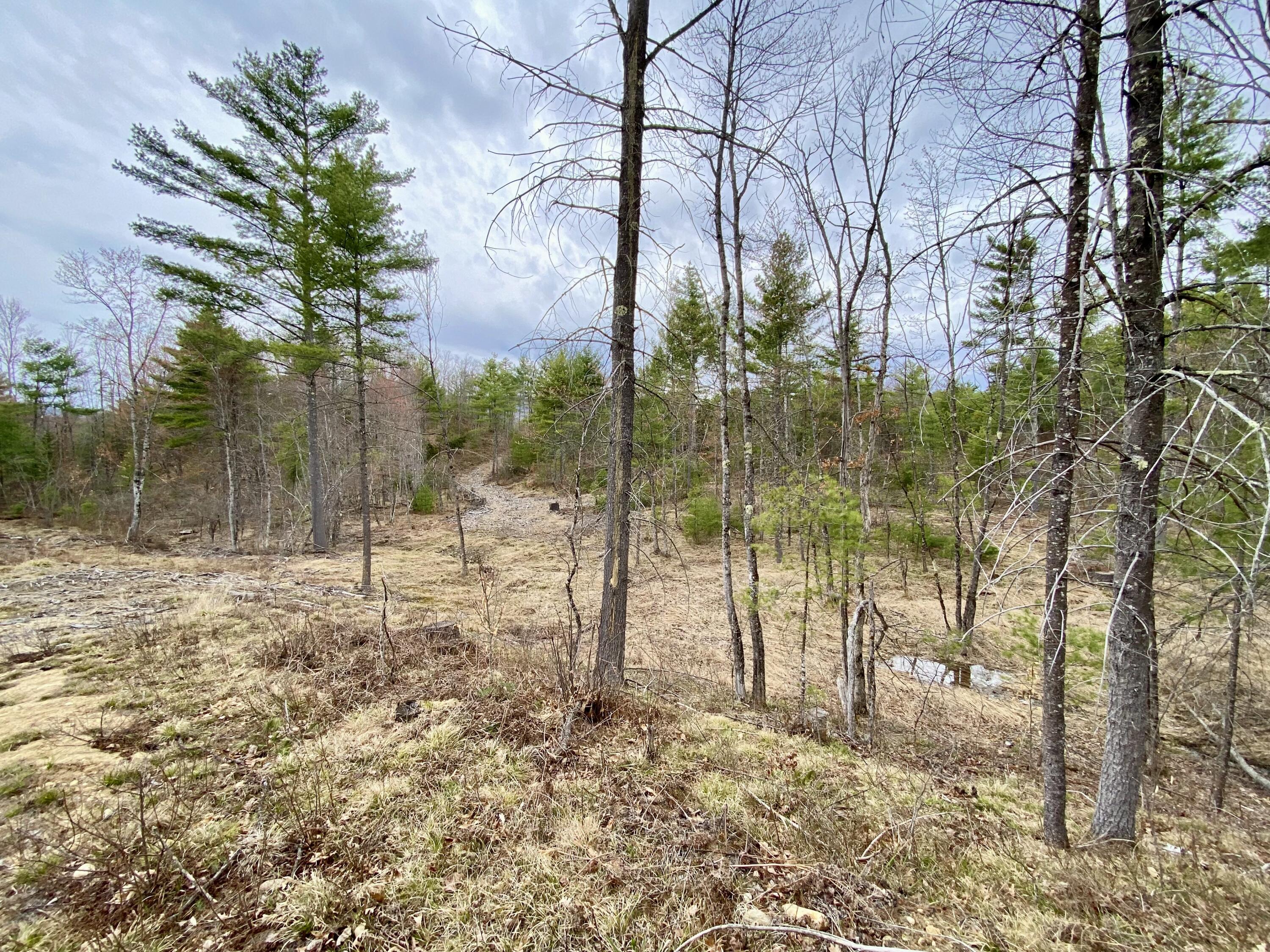8-15 Notch Road Brownfield, ME 04010 - Photo 3 of 19 IMG_2679