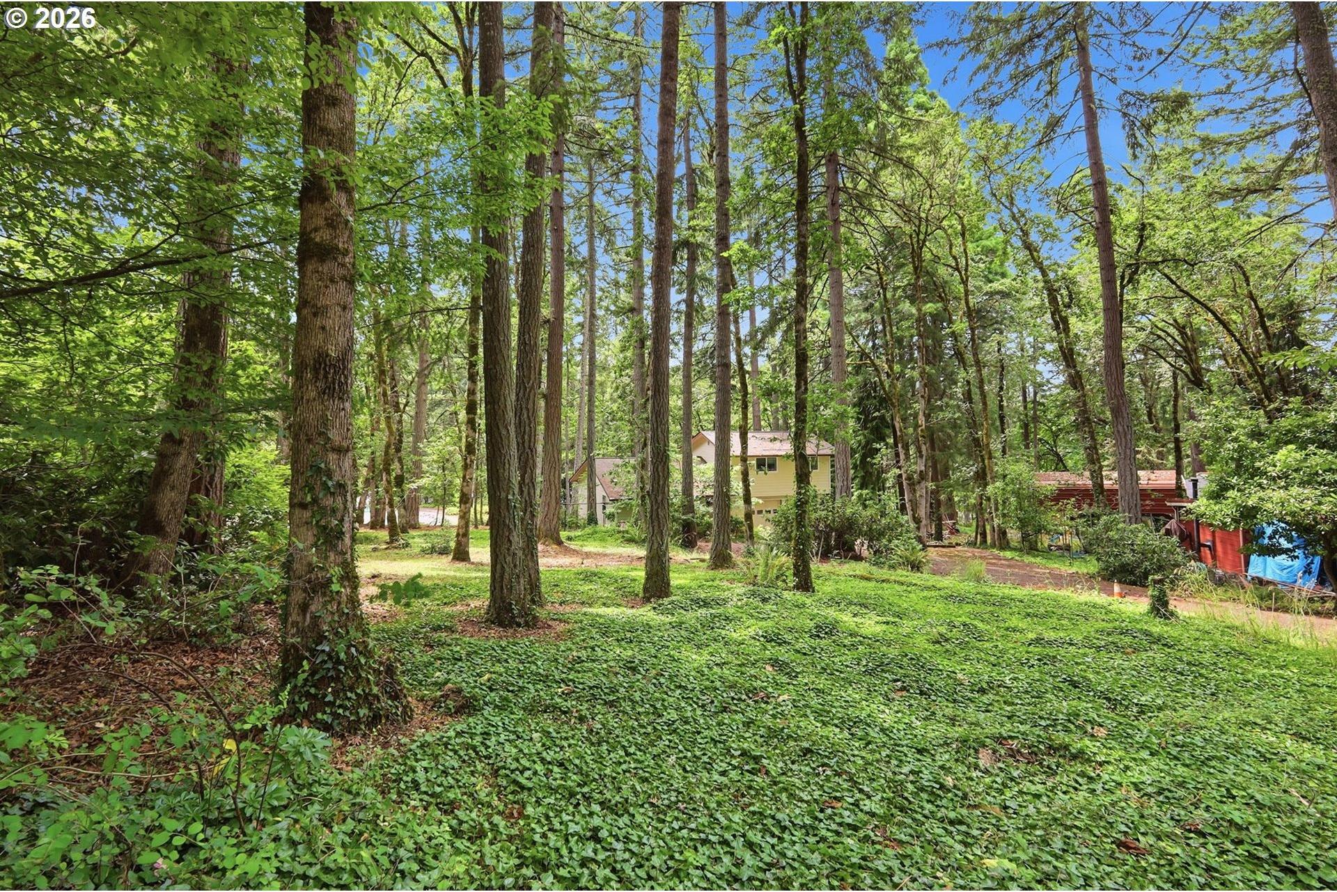 Old Dillard Road Eugene, OR 97405 - Photo 5 of 7 Gallery Image 5
