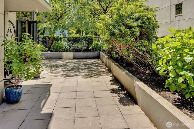 a view of a backyard with potted plants