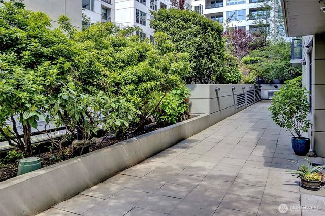 a view of a garden with plants