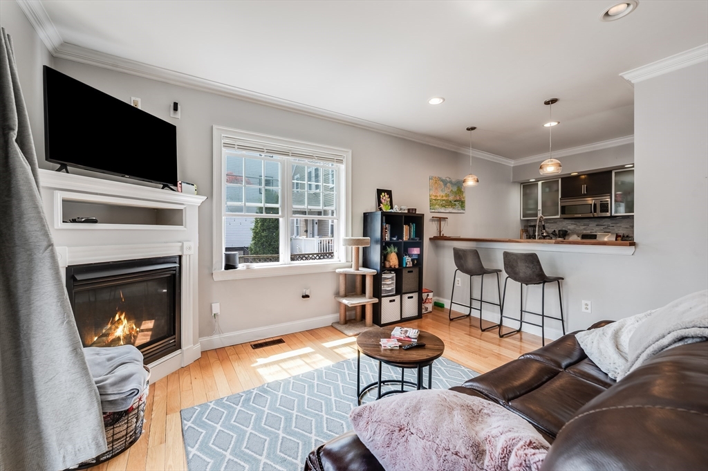 13 Spring Garden Street, Unit 1 Boston, MA 02125 - Photo 1 of 18