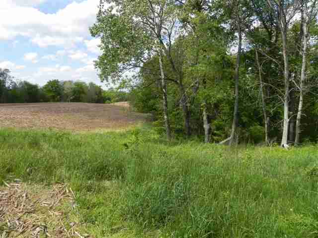 73.96-acres Messmer Road Savanna, IL 61074 - Photo 1 of 4 Gallery Image 1