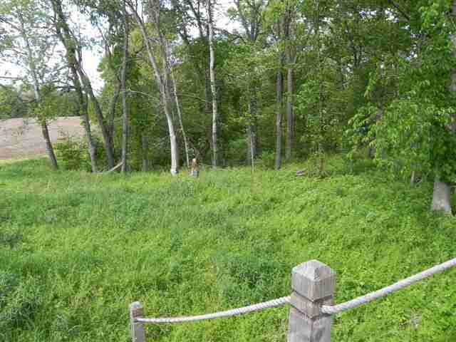 73.96-acres Messmer Road Savanna, IL 61074 - Photo 3 of 4 Gallery Image 3
