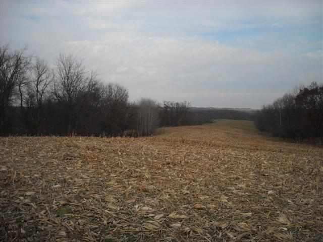 73.96-acres Messmer Road Savanna, IL 61074 - Photo 4 of 4 Gallery Image 4