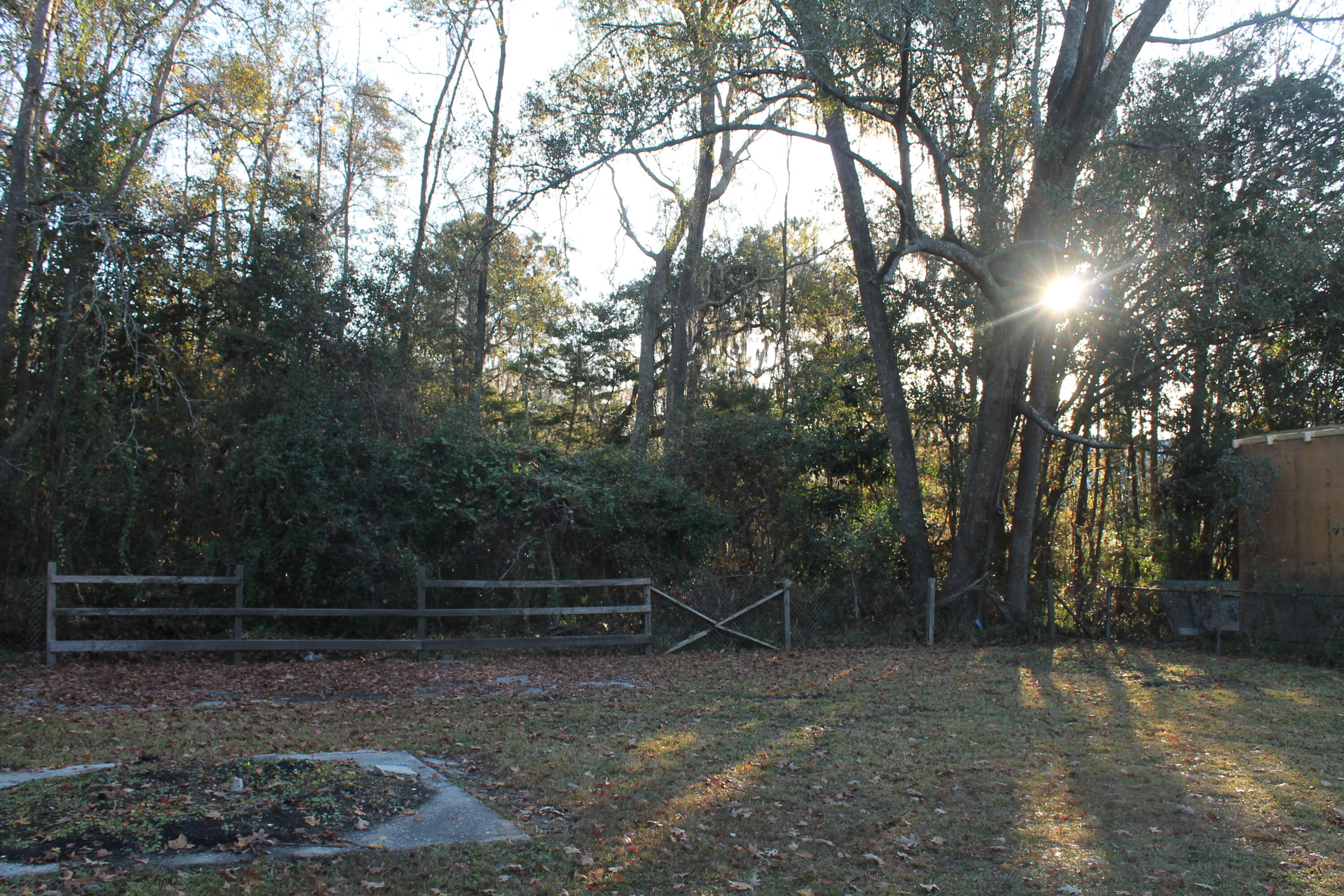 822 Savage Road Charleston, SC 29414 - Photo 28 of 28 IMG_8288