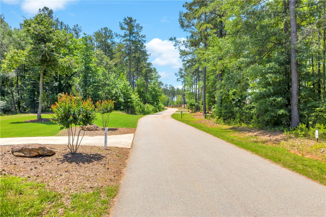 Lot 60 Harbor Point Seneca, SC 29672 - Photo 26 of 30 A winding paved driveway through a verdant, wooded landscape beckons.