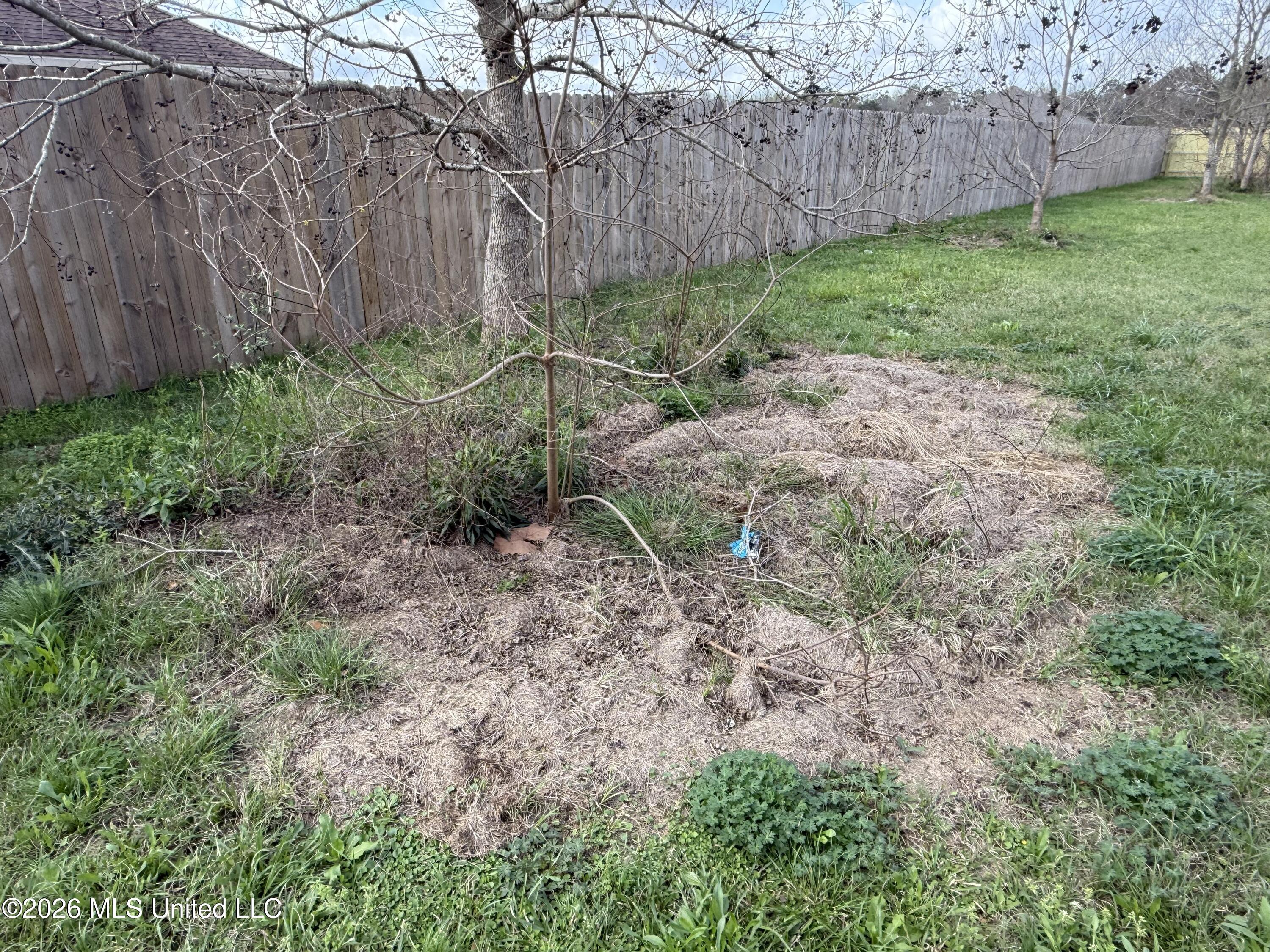 17 Pointer Trail Picayune, MS 39466 - Photo 10 of 28 Privacy fence