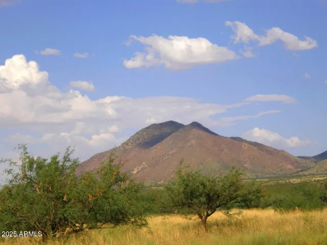 $65,000 | 0 East Diamondback Road, Unit 160, St. David, AZ 85630