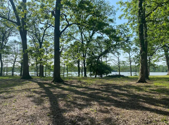a big yard with trees