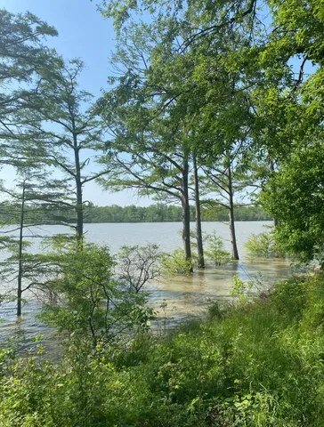 a view of lake view with tree