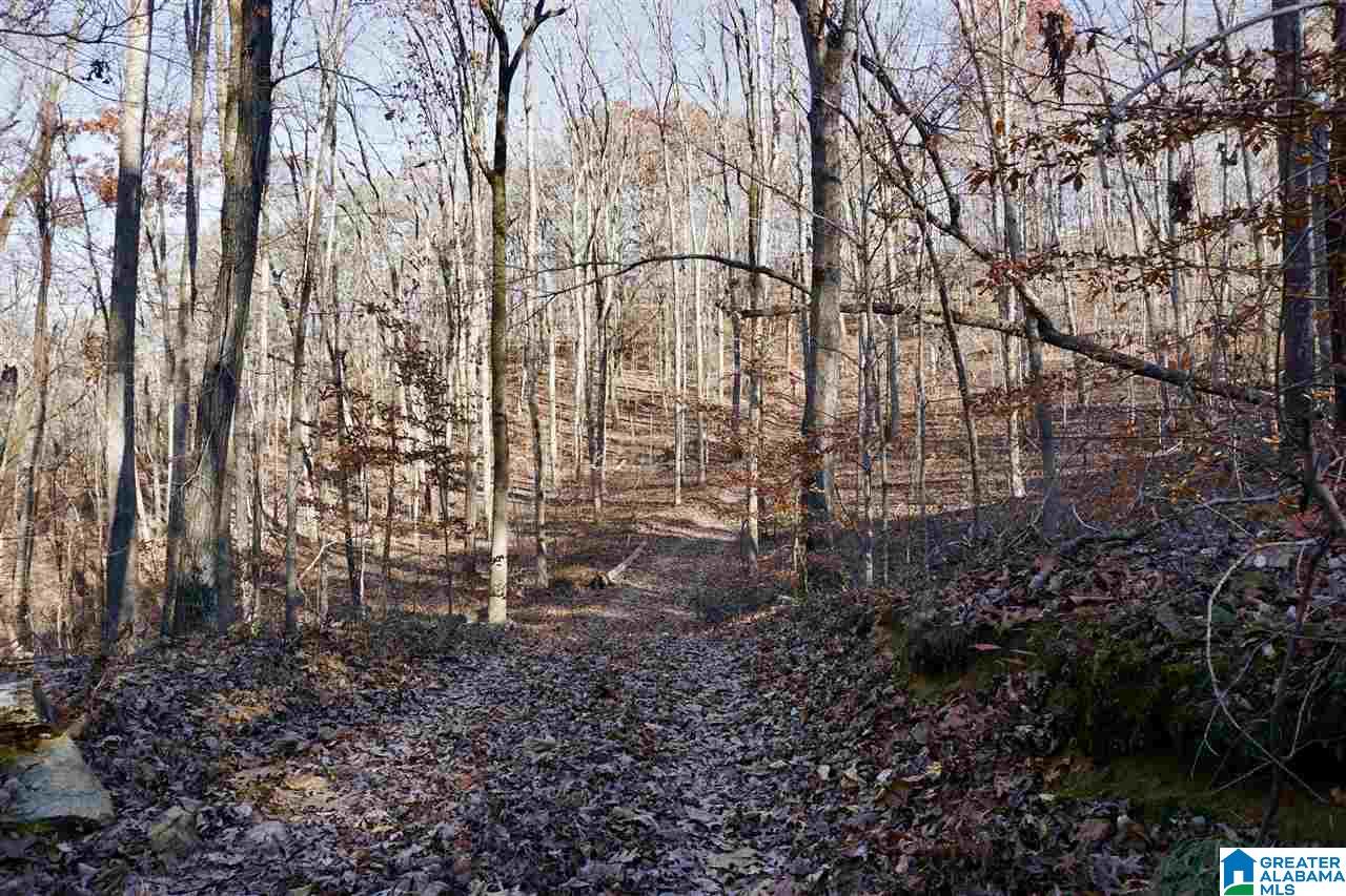 0 Whites Gap Road Jacksonville, AL 36265 - Photo 23 of 31