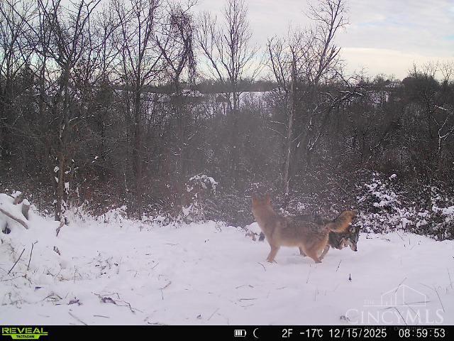 5856 Blue Rock Road Cincinnati, OH 45247 - Photo 49 of 51 Wild Coyote
