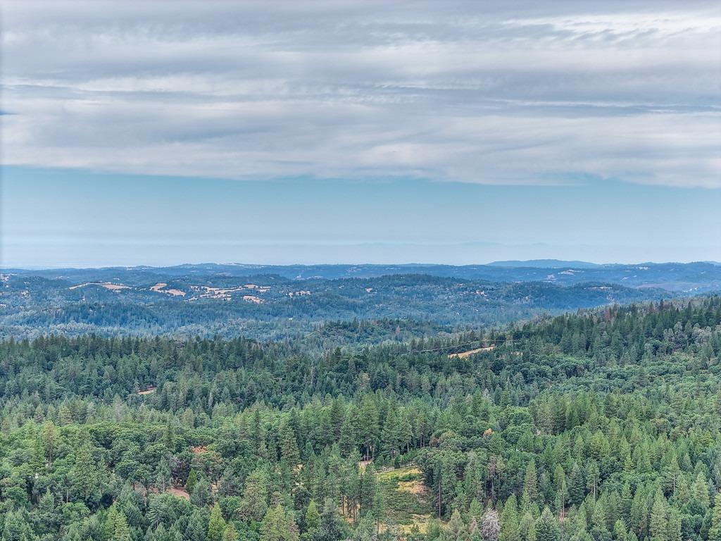 3701 Marshall Road Georgetown, CA 95634 - Photo 8 of 11