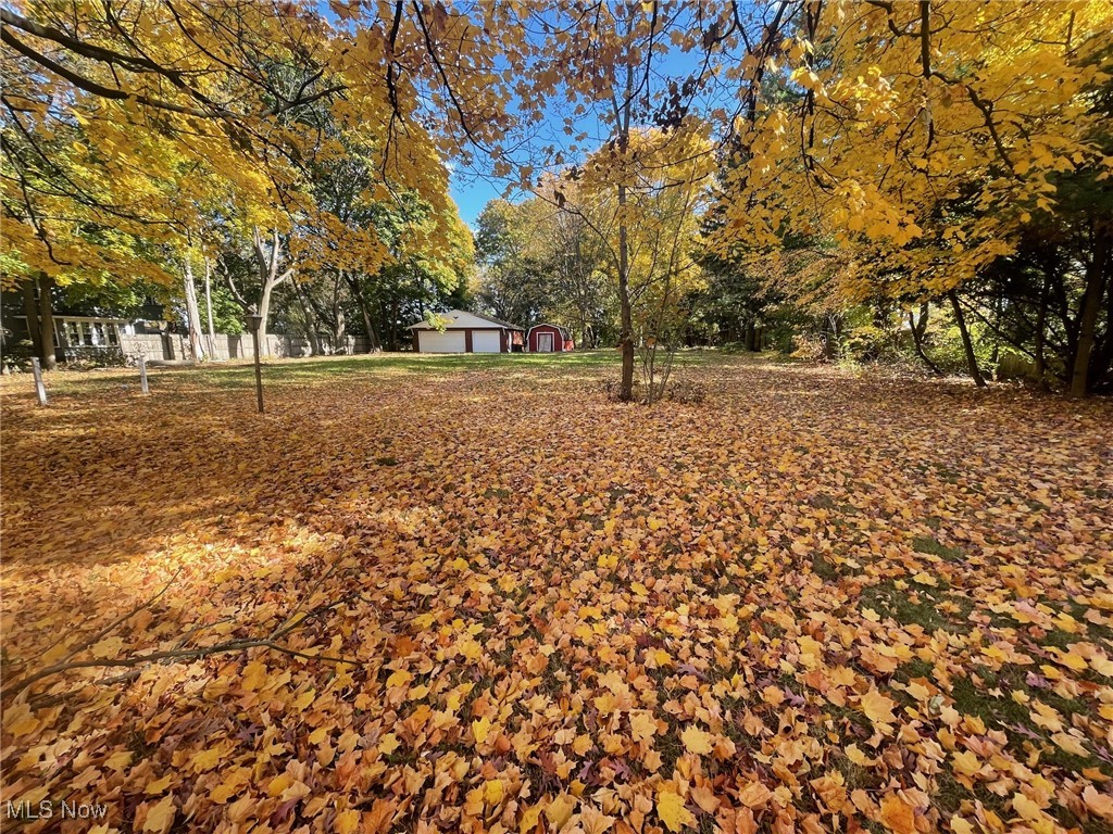 914 Raff Road Southwest Canton, OH 44710 - Photo 6 of 6 Lot surrounded by beautiful trees, 3-car, brick garage and shed