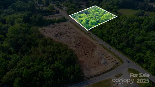 a view of a yard with plants