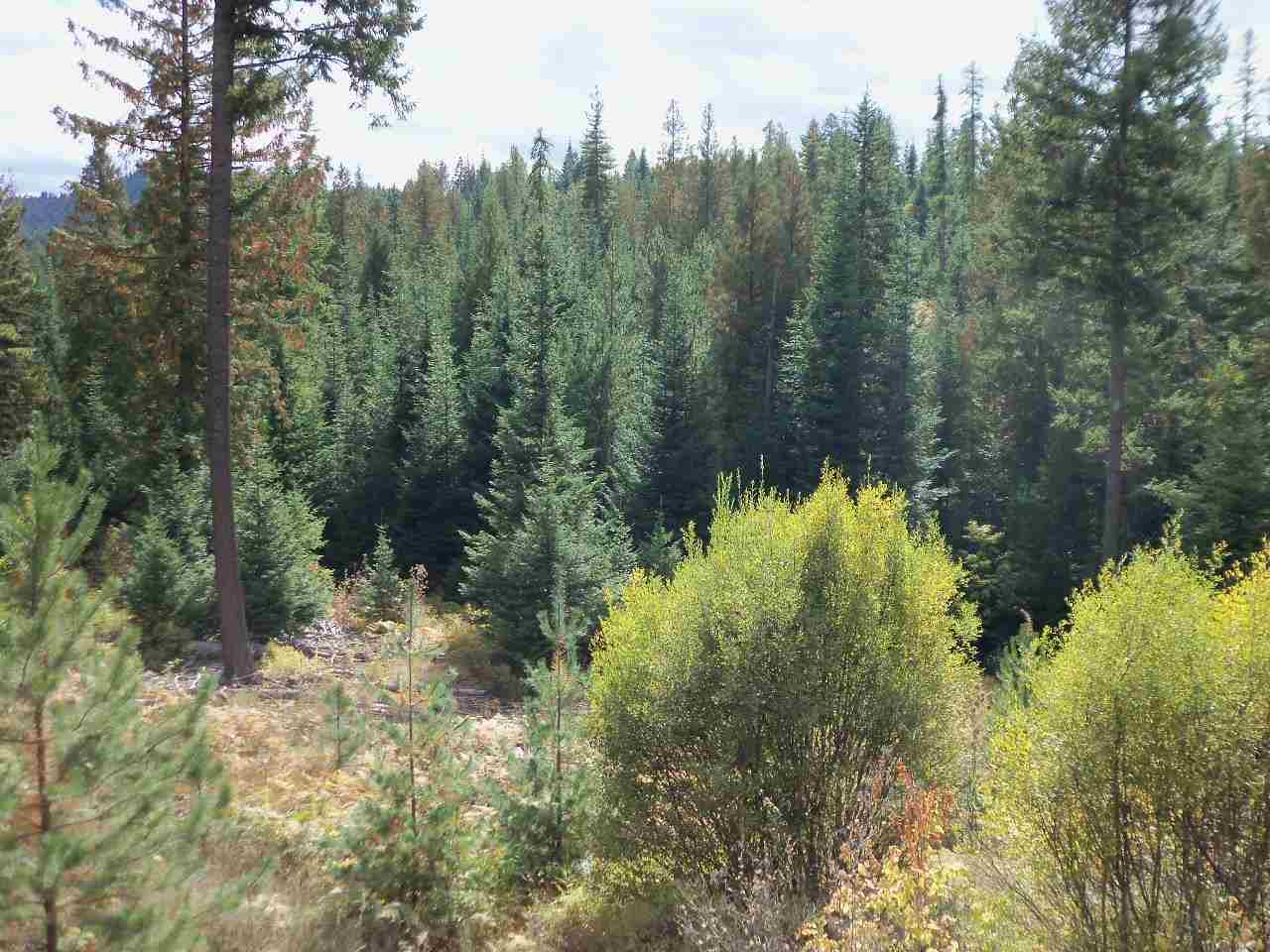 Xx Foothills Road Newman Lake, WA 99025 - Photo 1 of 10 Gallery Image 1