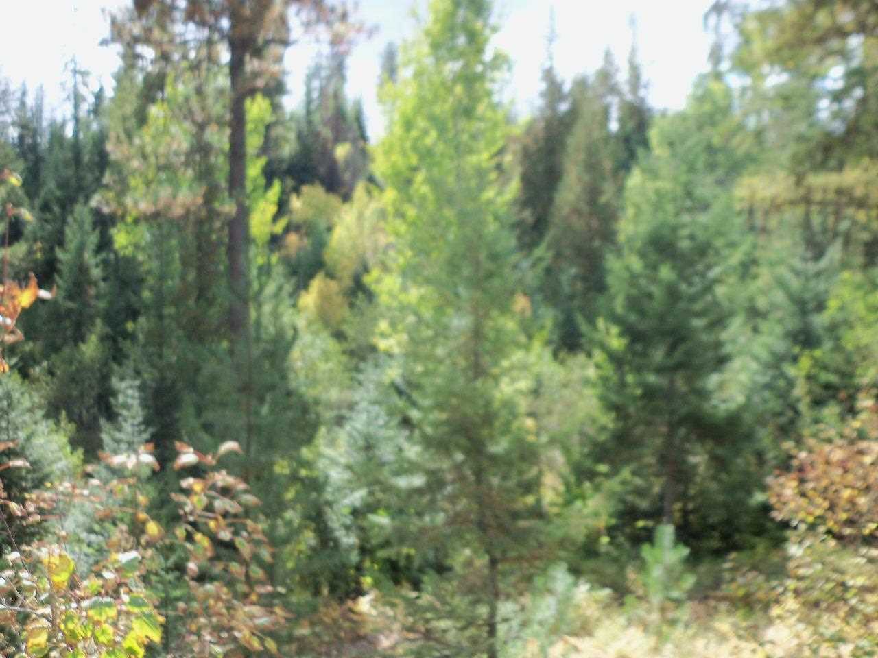 Xx Foothills Road Newman Lake, WA 99025 - Photo 4 of 10 Gallery Image 4
