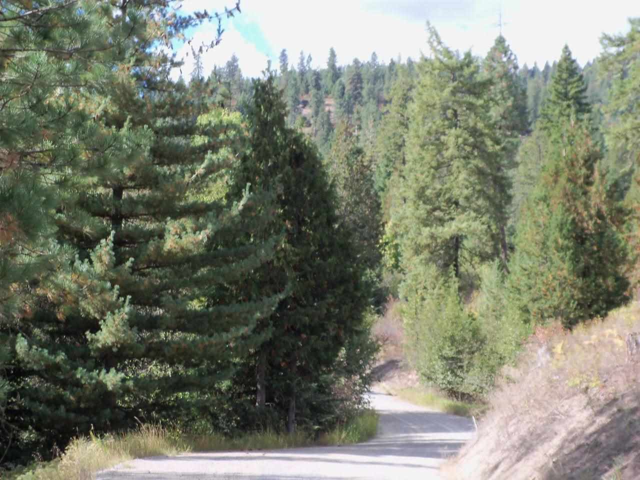 Xx Foothills Road Newman Lake, WA 99025 - Photo 5 of 10 Gallery Image 5