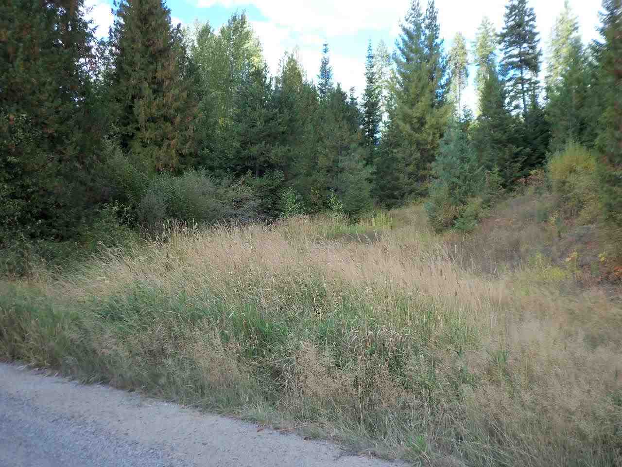 Xx Foothills Road Newman Lake, WA 99025 - Photo 6 of 10 Gallery Image 6